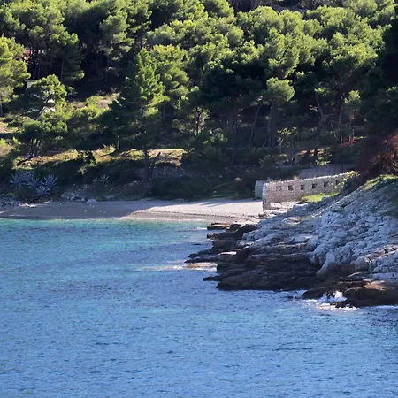 By The Sea - 8874
